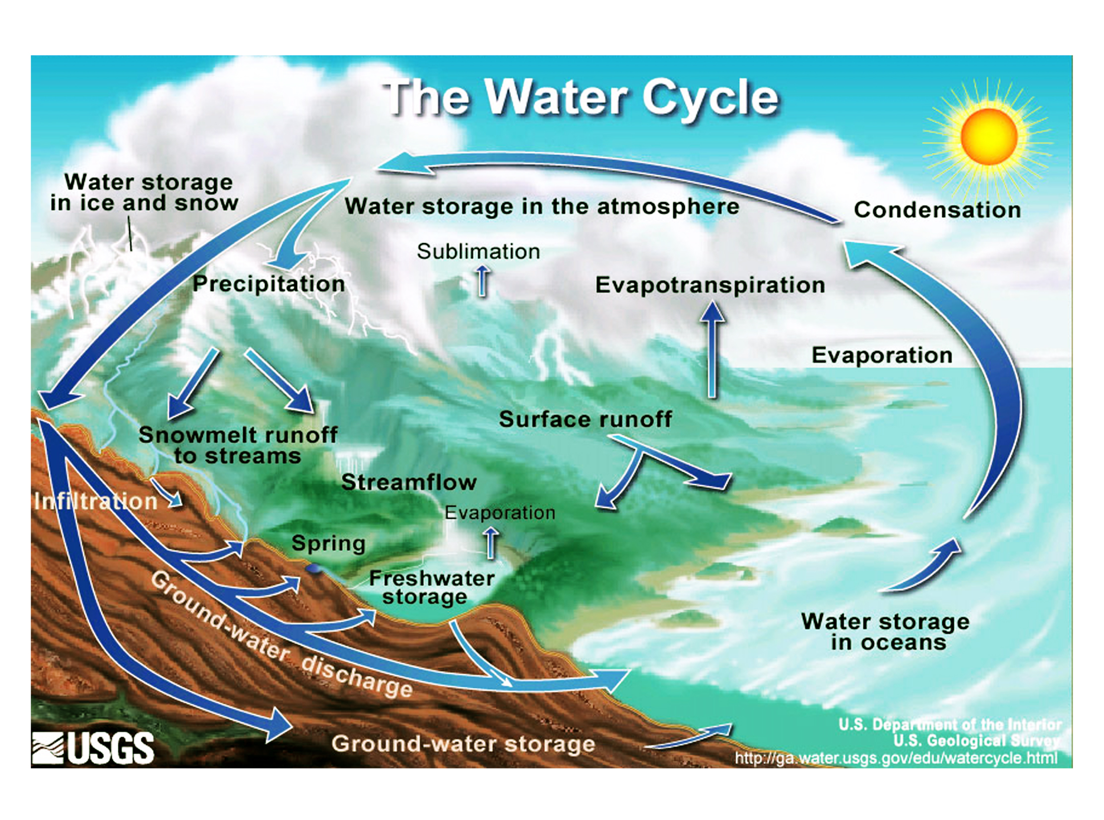 Water Cycle Biology And Geology 4 Eso 2011 12